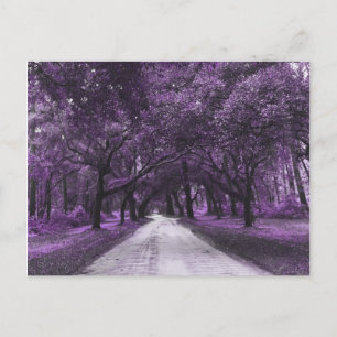 santee road postcard