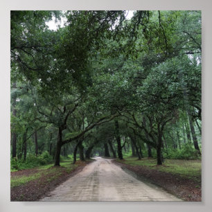 santee road poster