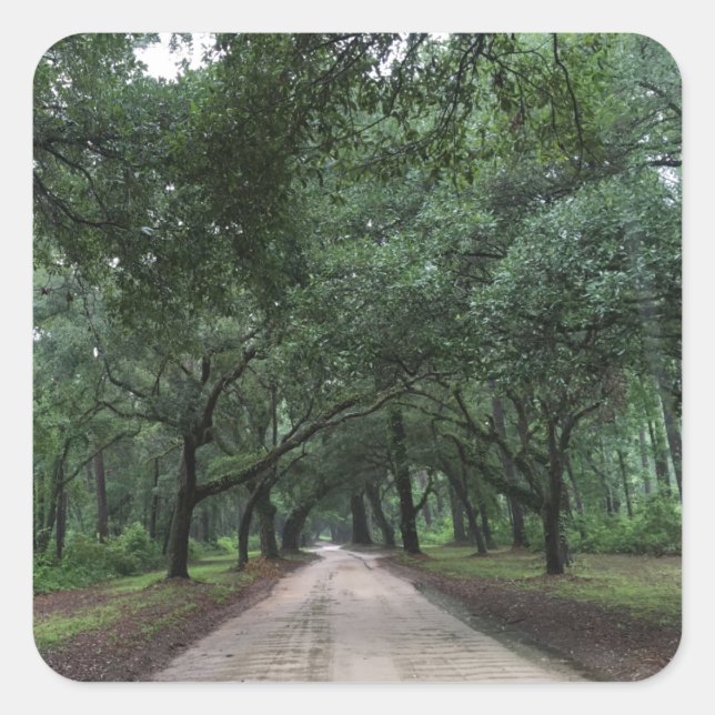 santee road square sticker (Front)