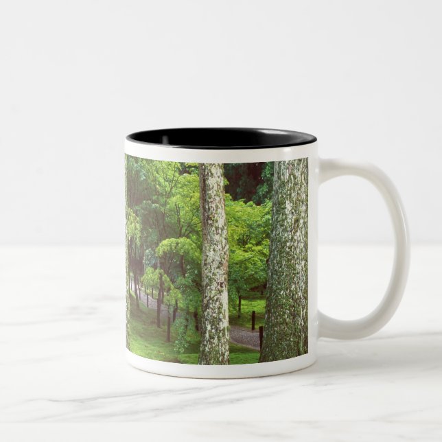 Sanzen-in Temple, Ohara, Kyoto, Japan Two-Tone Coffee Mug (Right)