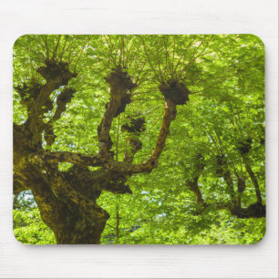 Sao Miguel Island Mouse Pad
