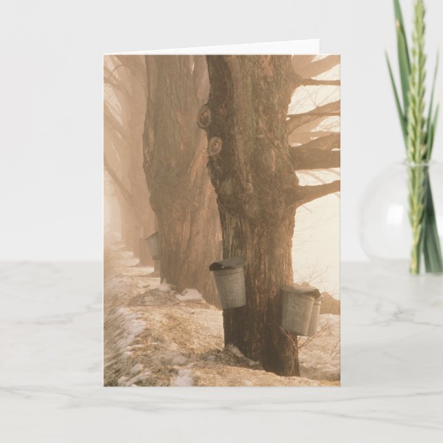 SAP BUCKETS GREETING CARDS (Front)