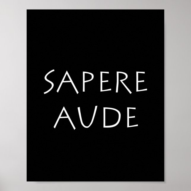 Sapere aude poster (Front)