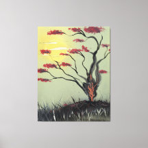 Sapling in the Sunlight