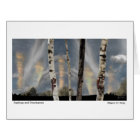 Saplings and Cloudspires