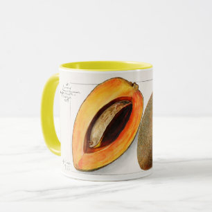 Sapote Mug
