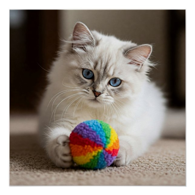 Sapphire Eyes and Colourful Fun Poster (Front)