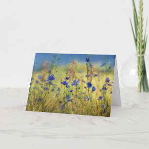 Sapphire & Gold Card