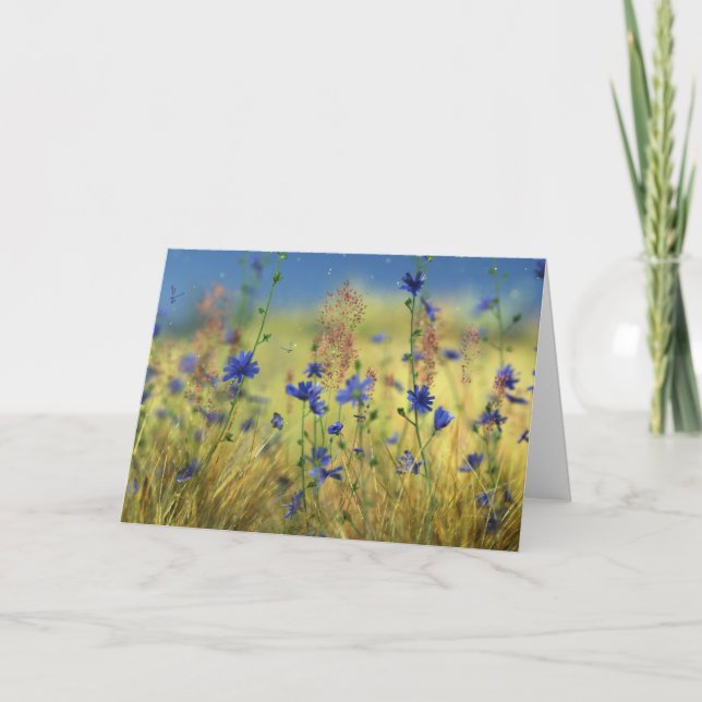 Sapphire & Gold Card (Front)