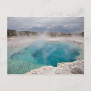 Sapphire Pool Postcard