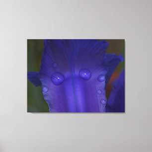 Sapphire Serenity  Canvas Print