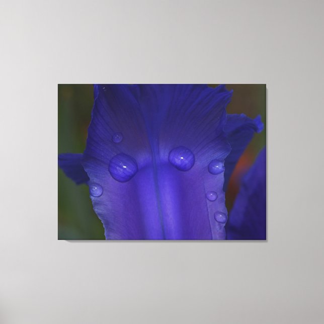 Sapphire Serenity  Canvas Print (Front)