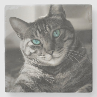 Sapphire Soul Silent Look Tabby Cat Portrait Stone Coaster