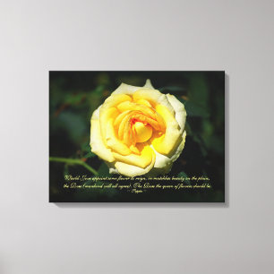 Sappho Quote Yellow English Rose Canvas Print