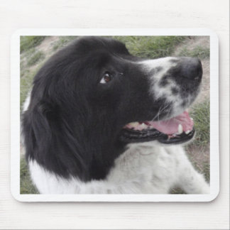 Sara Bulgarian Shepherd Dog Mouse Pad