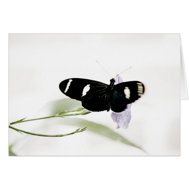 Sara Card (Front Horizontal)