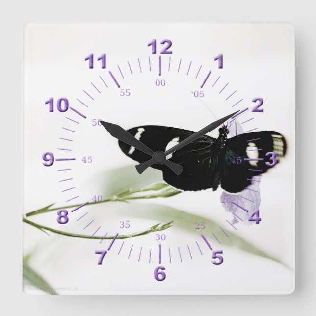Sara Square Wall Clock (Front)