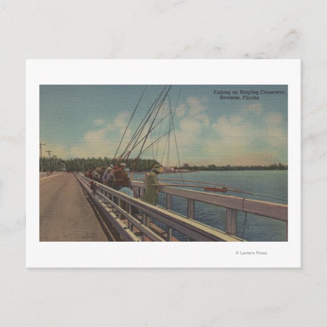 Sarasota, FL - View of People Fishing Off Postcard (Front)