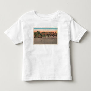 Sarasota, Florida - Camels at Ringling Bros Toddler T-shirt