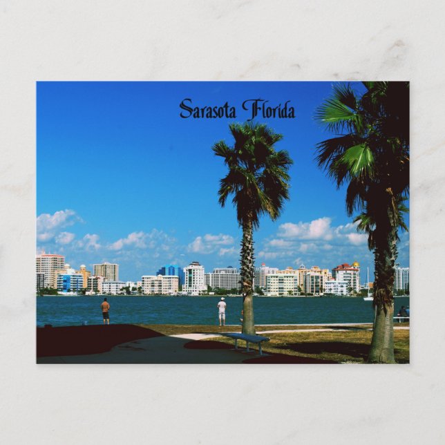 Sarasota Florida Postcard (Front)