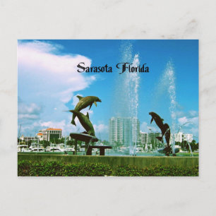 Sarasota Florida Postcard
