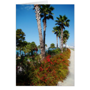 Sarasota Ringling Bridge