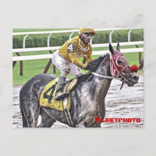 Saratoga 150 Art Photos Postcard