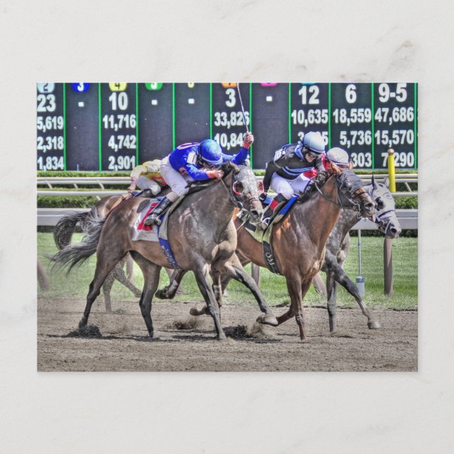 Saratoga Horse Racing Postcard (Front)
