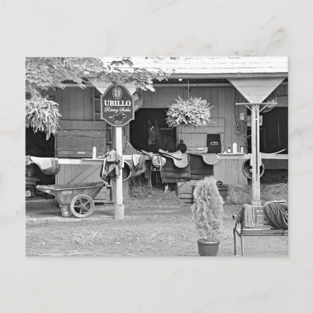 Saratoga Stables "Horse Haven" Postcard (Front)