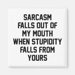 Sarcasm Stupidity Magnet