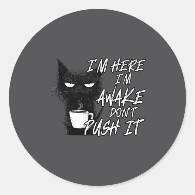 Sarcastic Cat Funny Cat I'm Here I'm Awake Don't P Classic Round Sticker (Front)