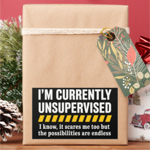 Sarcastic Dad Fathers Day Currently Unsupervised  Sticker