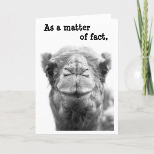 Sarcastic & Funny Camel Photo Graduation Card