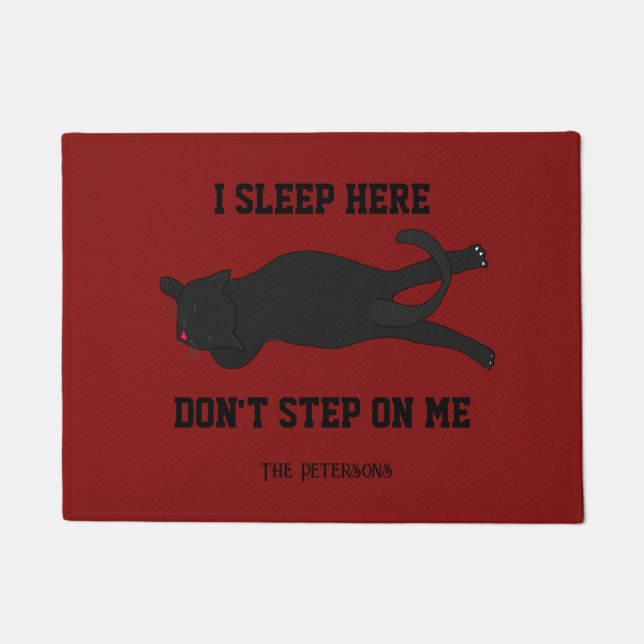 Sarcastic Funny I live here Don't Step on Me Cat Doormat (Front)