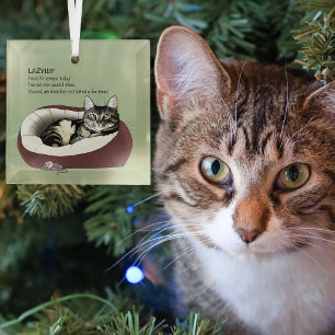 Sarcastic Lazy Tabby Cat Humour Sage Green Glass Ornament