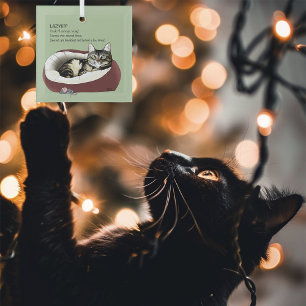 Sarcastic Lazy Tabby Cat Humour Sage Green Glass Ornament