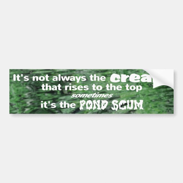 Sarcastic one liner bumper sticker about life (Front)