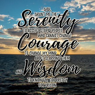 Sarcastic stupid people Serenity Prayer tshirt