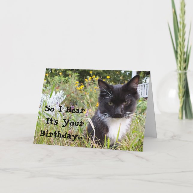 Sarcastic Tuxedo Kitten Birthday Card (Front)