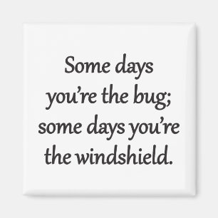 Sarcastic Zen Phrase - The Bug And The Windshield Magnet
