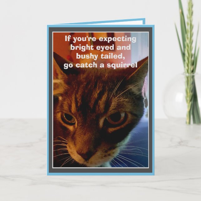 Sarcastique Chat drôle Carte d'anniversaire (Devant)