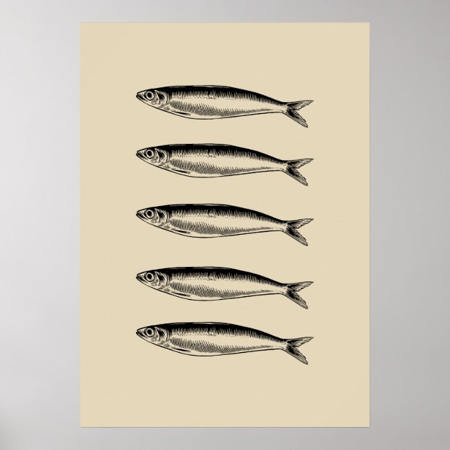 Sardines Fish Poster (Front)