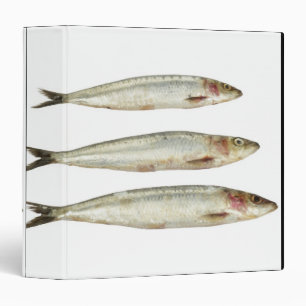 Sardines (Pilchards) 2 Binder