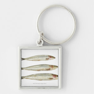 Sardines (Pilchards) 2 Keychain
