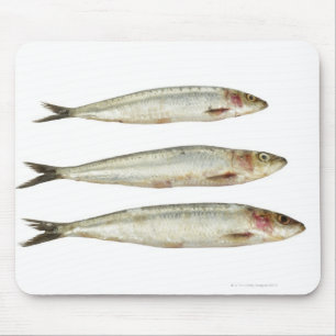 Sardines (Pilchards) 2 Mouse Pad