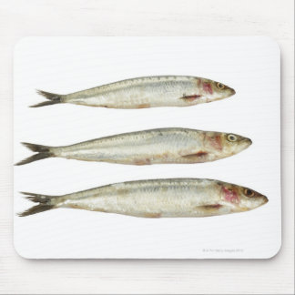 Sardines (Pilchards) 2 Mouse Pad