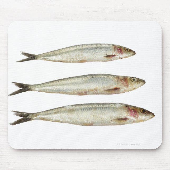 Sardines (Pilchards) 2 Mouse Pad (Front)