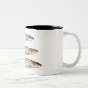 Sardines (Pilchards) 2 Two-Tone Coffee Mug