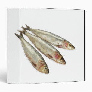 Sardines (Pilchards) Binder