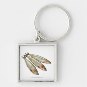 Sardines (Pilchards) Keychain